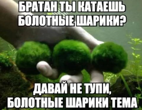 УБРАТАНТЫ КАТАЕШЬ ДАВАЙ НЕТУПИ, БОЛОТНЫЕ ШАРИКИ ТЕМА