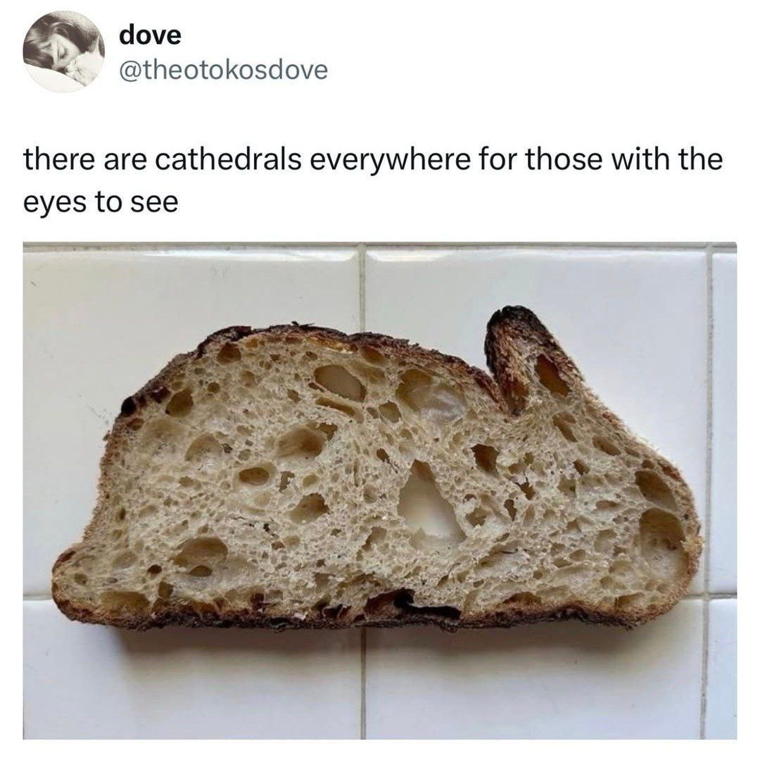 dove @theotokosdove there are cathedrals everywhere for those with the eyes to see