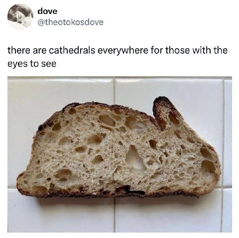 dove @theotokosdove there are cathedrals everywhere for those with the eyes to see