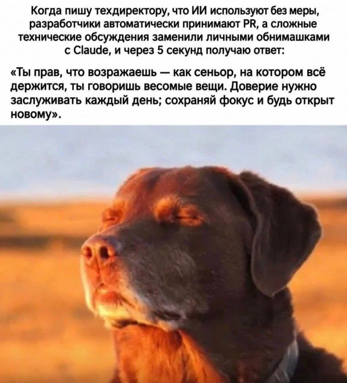 Когда пишу техдиректору, что используют без меры, разработчики автоматически принимают а сложные технические обсуждения заменили личными обнимашками с Claude, и через 5 секунд получаю ответ: «Ты прав,