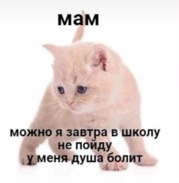 мам я можно A завтра в школу i¢ nous 7} a
