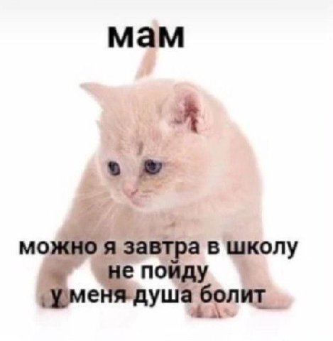 мам я можно A завтра в школу i¢ nous 7} a