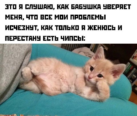 Я СЛУШАЮ, КАК БАБУШКА УВЕРЯЕТ МЕНЯ, ЧТО ВСЕ МОИ ПРОБЛЕМЫ ИСЧЕЗНУТ, КАК ТОЛЬКО Я ЖЕНЮСЬ И ПЕРЕСТАНУ ЕСТЬ