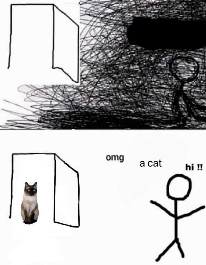 4 we 2. omg a Cat
