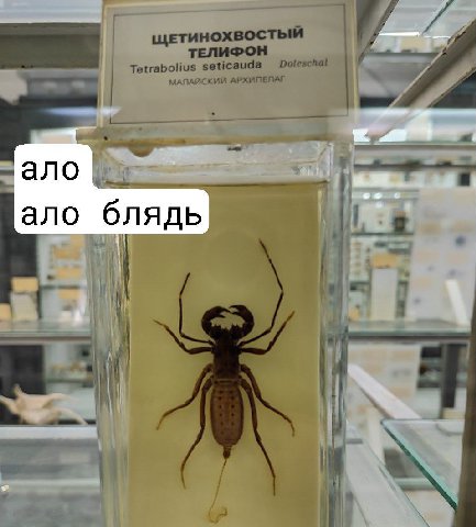 ало блядь