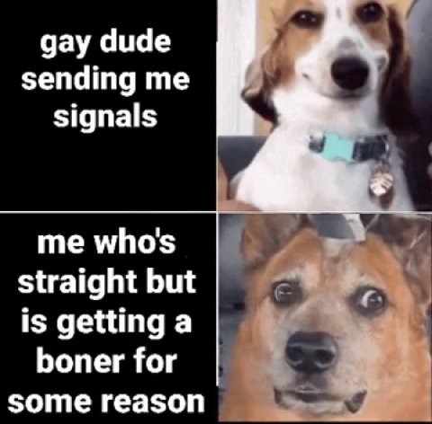 дау диде sending signals me who's straight but is getting a boner for some reason