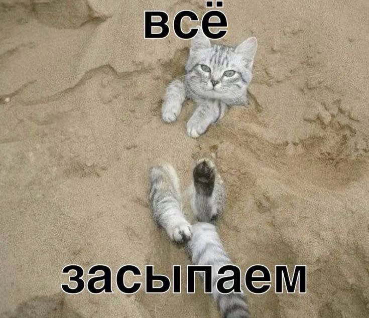 все засыпаем