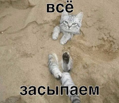 все засыпаем