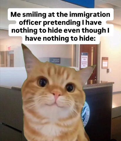 Me smiling at the immigration officer pretending I have nothing to hide even though have nothing to hide: у. С