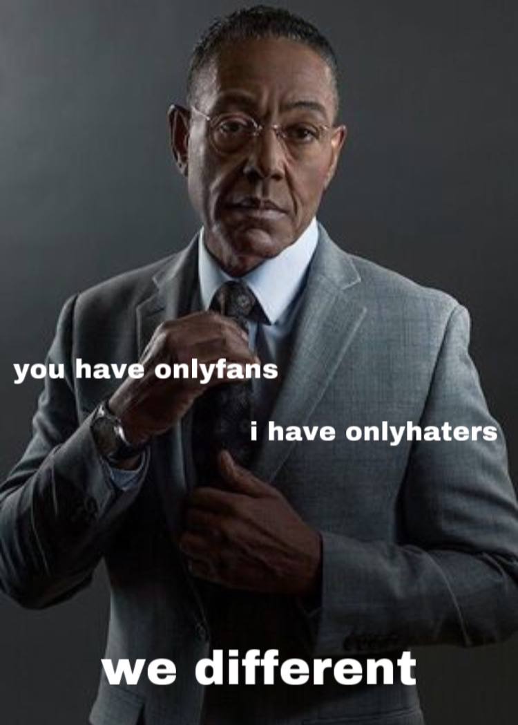 you have onlyfans i have onlyhaters we different