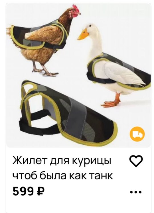 Жилет для курицы чтоб была как танк 599 2