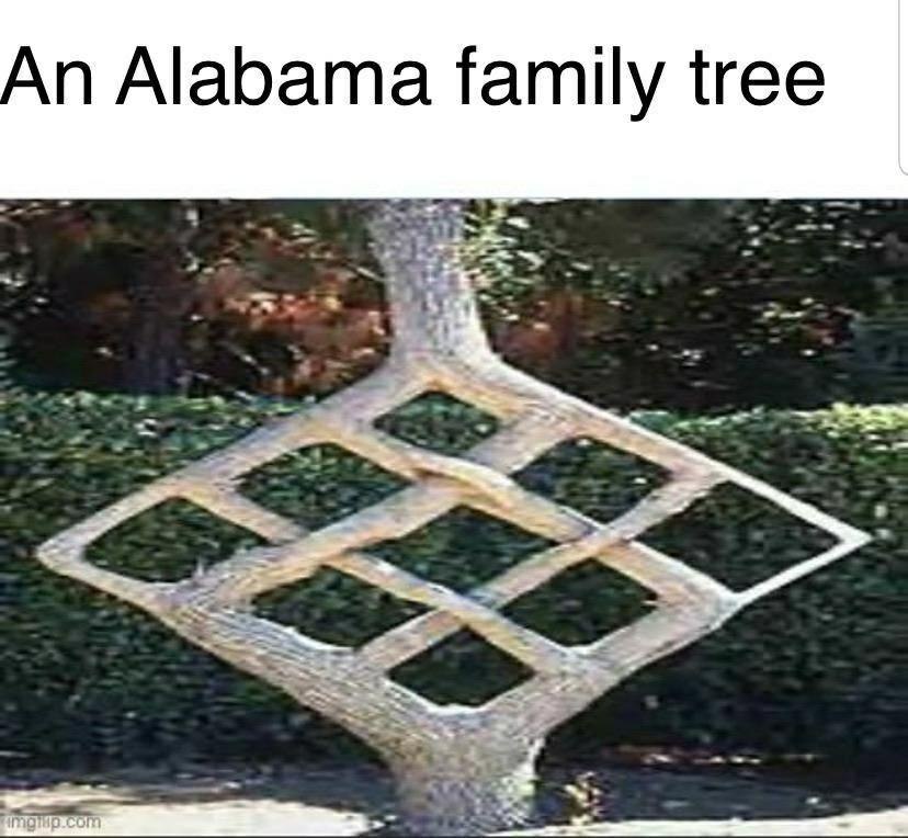 An Alabama family tree aww a