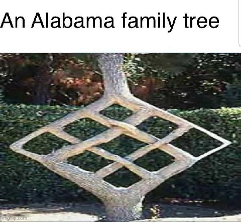 An Alabama family tree aww a