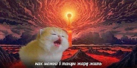 a как можно 6 такую жару жить