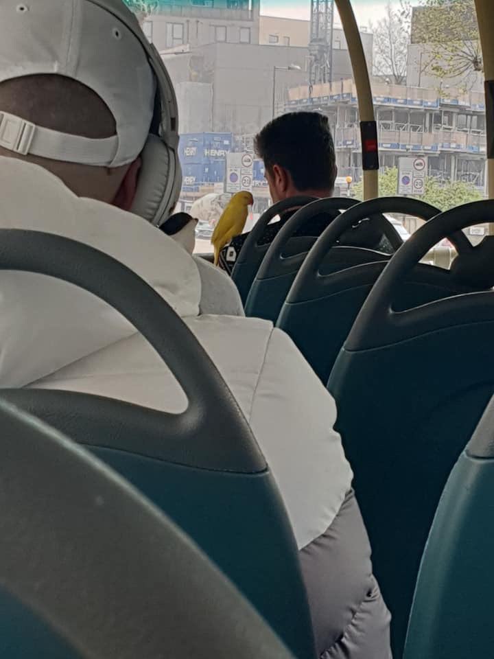 Bie 4 4 У