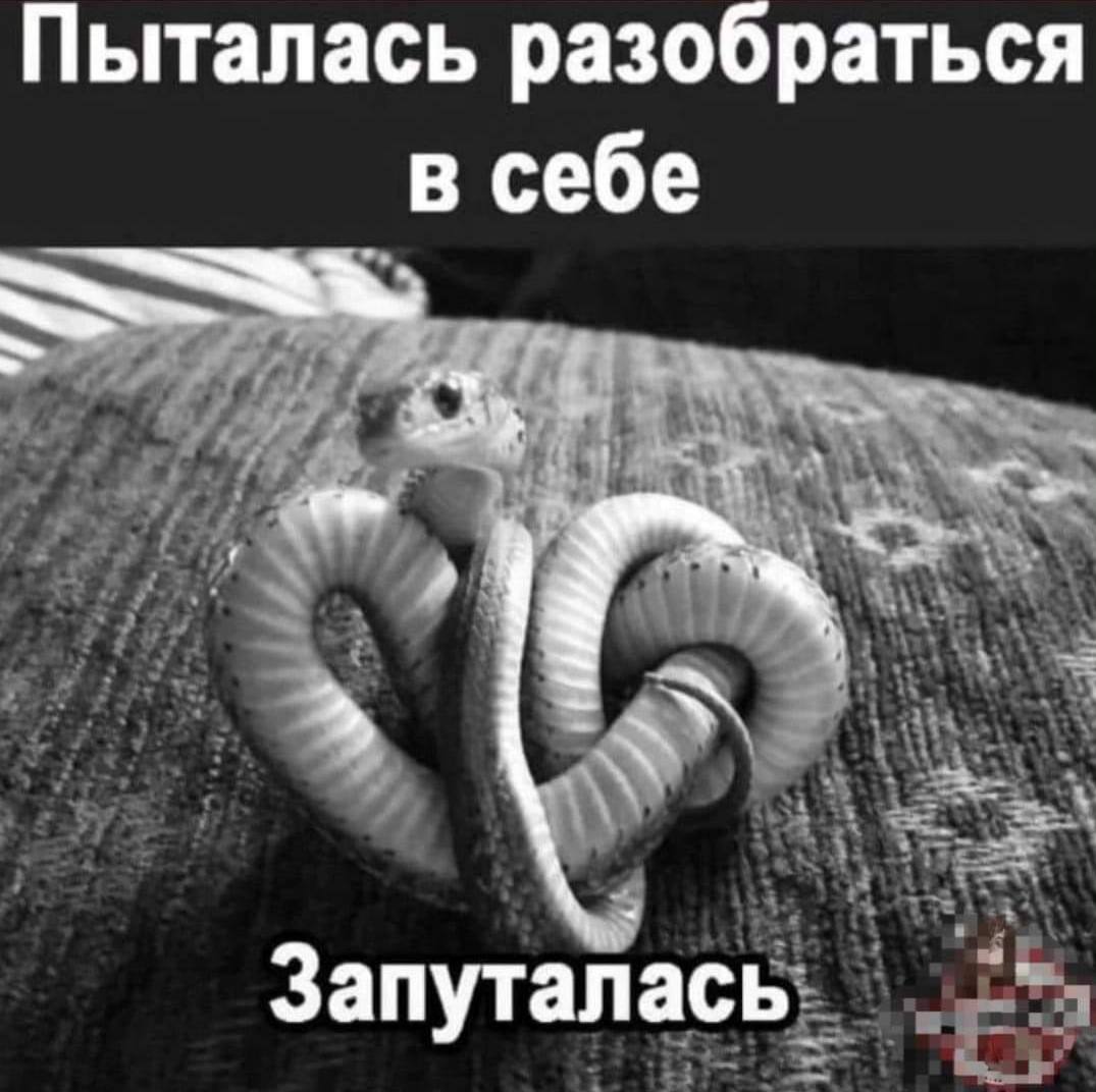 Пыталась разобраться в себе Запуталась