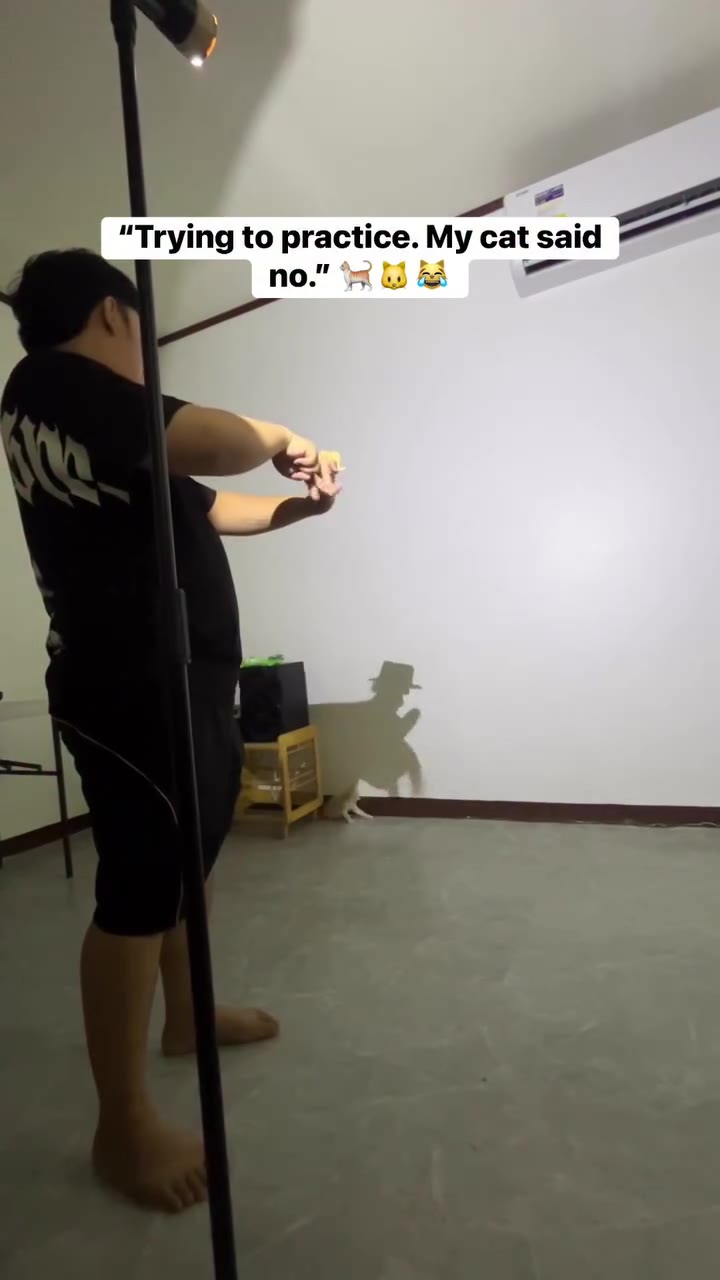 “Trying to practice. My cat said