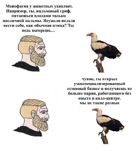 Монофагия у животных удивляет. Например, ты, пальмовый гриф, питаешься плодами только масличной пальмы. Неужели нельзя вести себя, как обычная птица? Ты ведь вымрешь... #7. чувак, ты открыл узкоспециа
