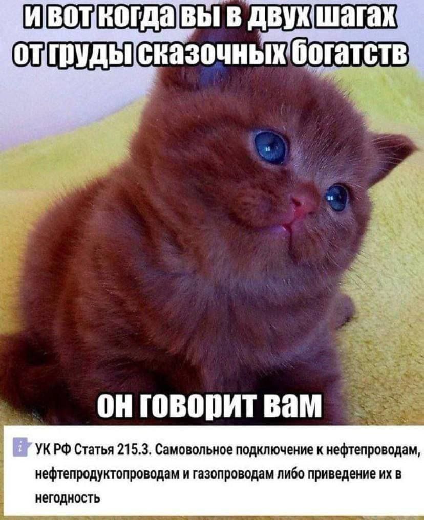 вот когда ВЫ В двух шагах говорит вам Статья 215.3. Самовольное подключение к нефтепроводам, нефтепродуктопроводам и газопроводам либо приведение в негодность