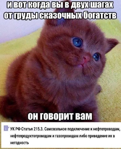 вот когда ВЫ В двух шагах говорит вам Статья 215.3. Самовольное подключение к нефтепроводам, нефтепродуктопроводам и газопроводам либо приведение в негодность