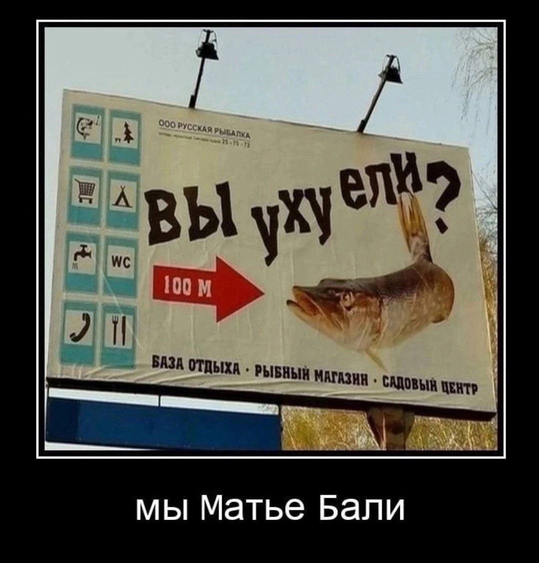 ВАЗА ОТДЫХА РЫБНЫЙ МАГАЗИН САДОВЫЙ мы Матье Бали