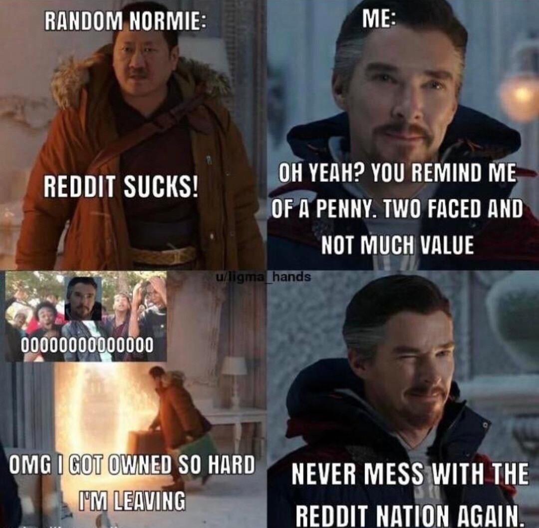 RANDOM NORMIE ME REDDIT SUCKS! YEAH? YOU REMIND ME OF A PENNY. TWO FACED AND NOT MUCH VALUE OMG НЕО SO HARD NEVER MESS WITH THE REDDIT NATION AGAIN.