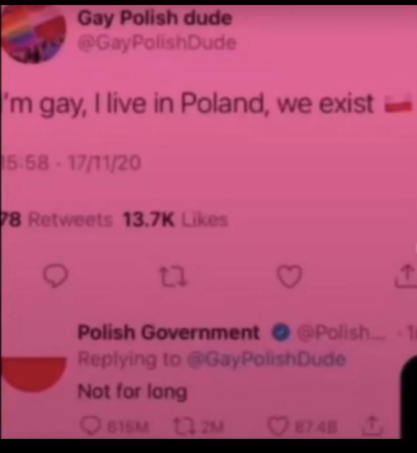 Gay Polish dude gay, live in Poland, we exist Polish Government Not for long