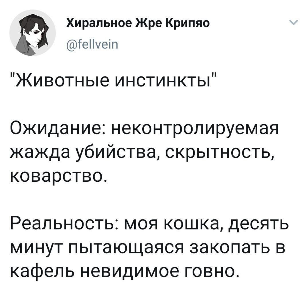 Хиральное Жре Крипяо @fellvein "Животные инстинкты" Ожидание: неконтролируемая жажда убийства, скрытность, коварство. Реальность: моя кошка, десять минут пытающаяся закопать в кафель невидимое говно.