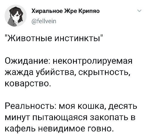 Хиральное Жре Крипяо @fellvein "Животные инстинкты" Ожидание: неконтролируемая жажда убийства, скрытность, коварство. Реальность: моя кошка, десять минут пытающаяся закопать в кафель невидимое говно.