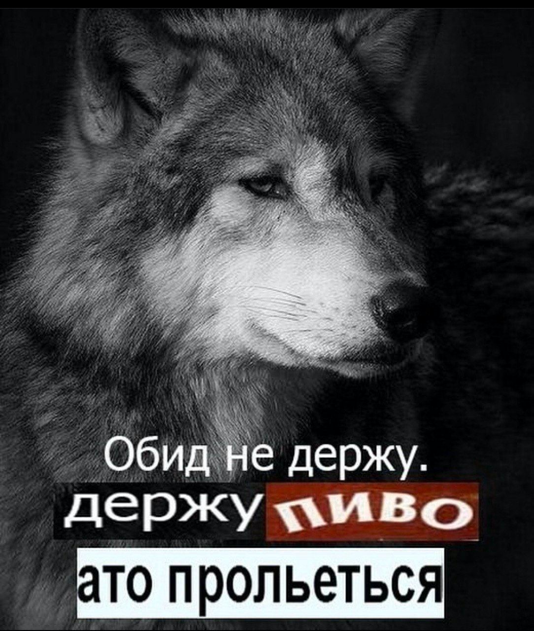 Обид не держу. держу живо ато прольеться