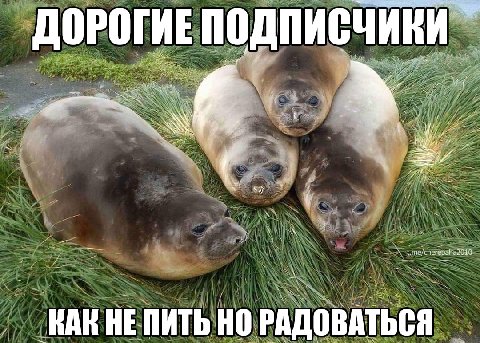 ПИСЧИКИ ME ДОРОГ a 4. я 0 КАКНЕПИТЬ НО РАД