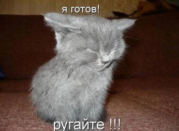 я готов! оугаите
