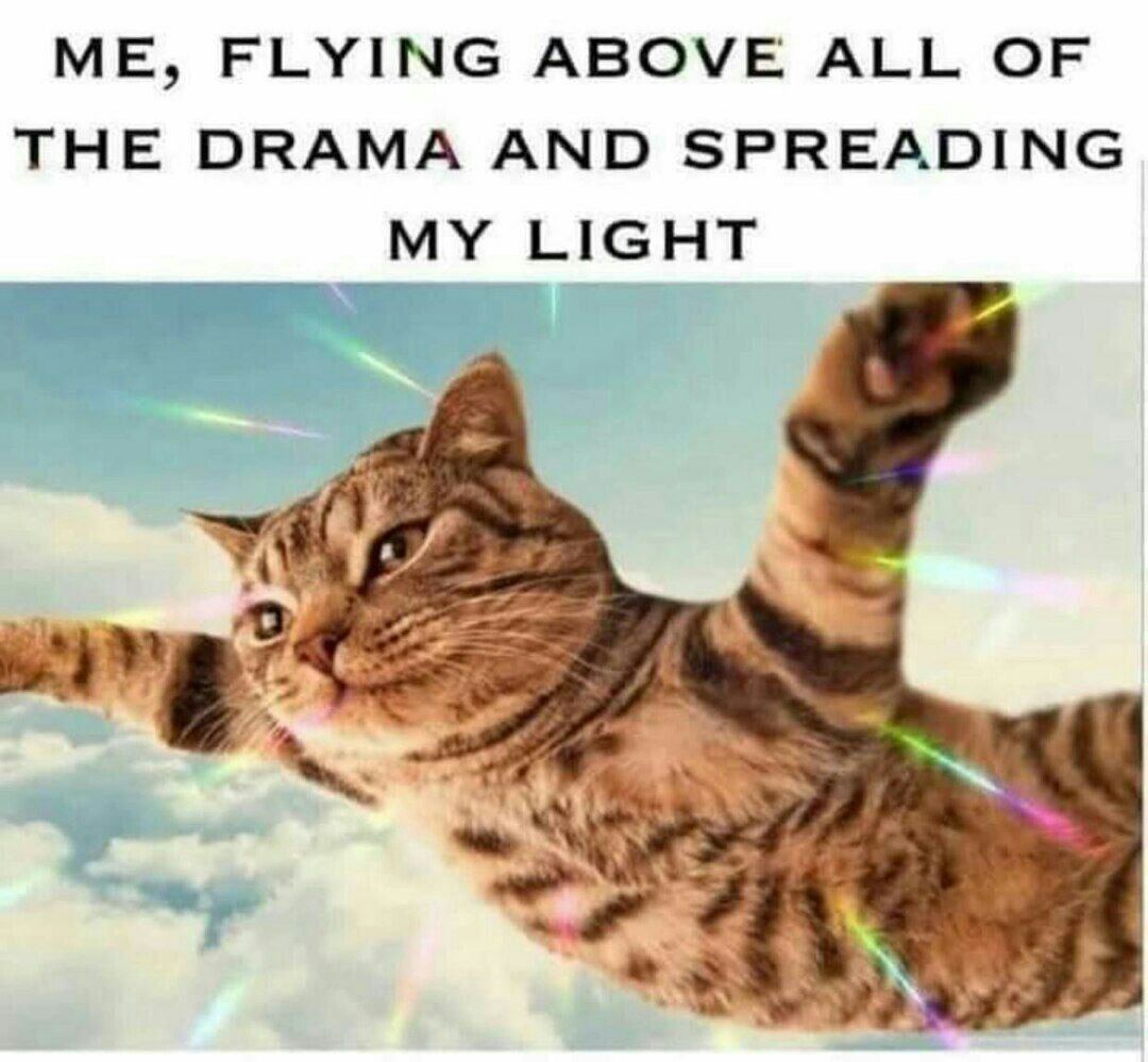 ME, FLYING ABOVE ALL THE DRAMA AND SPREADING MY LIGHT Pye