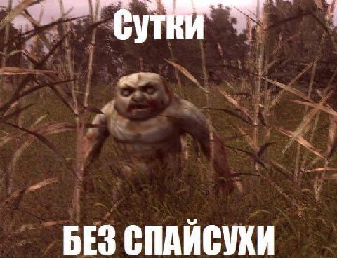 БЕЗ СПАИСУХИ