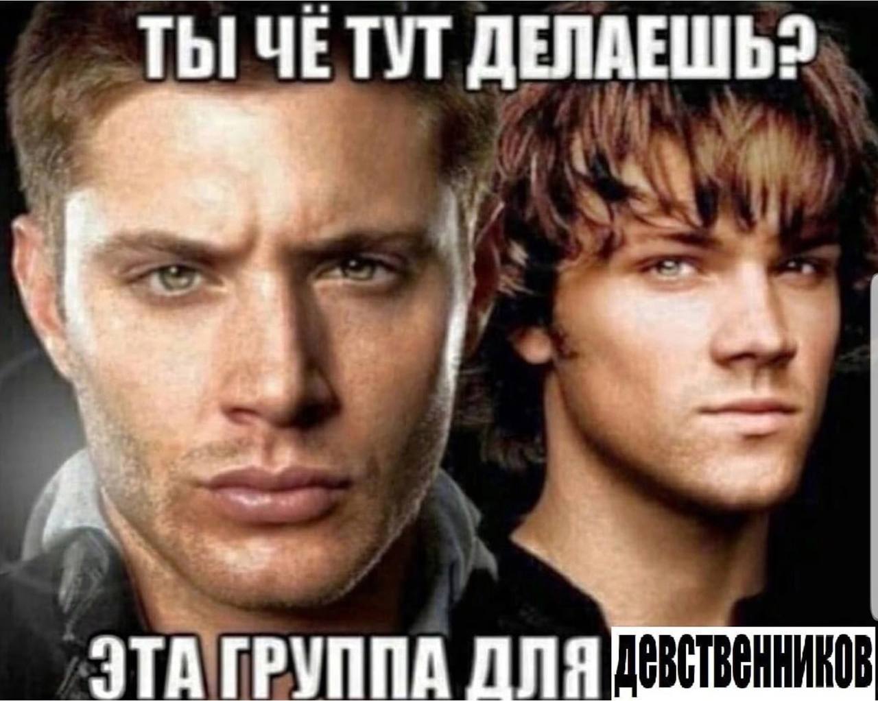 ТЫ ЧЕ ТУТ ДЕЛАЕШЬ? ГРУППА
