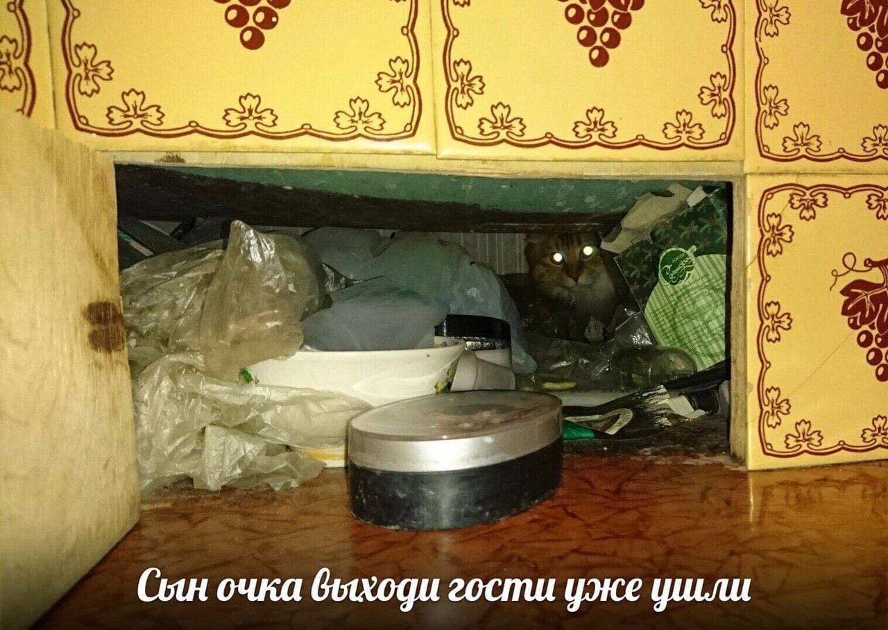24 Сын очка выходи гости уже ушли
