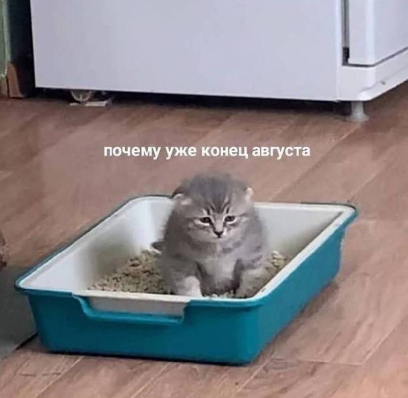 почему уже конец августа
