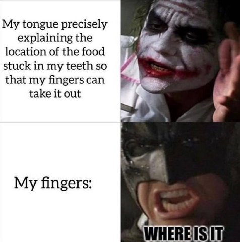My tongue precisely explaining the location of the food stuck in my teeth so that my fingerscan take it out My fingers: WHER