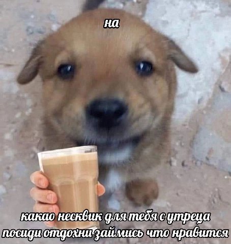 какао несквик тебя с ympeua что