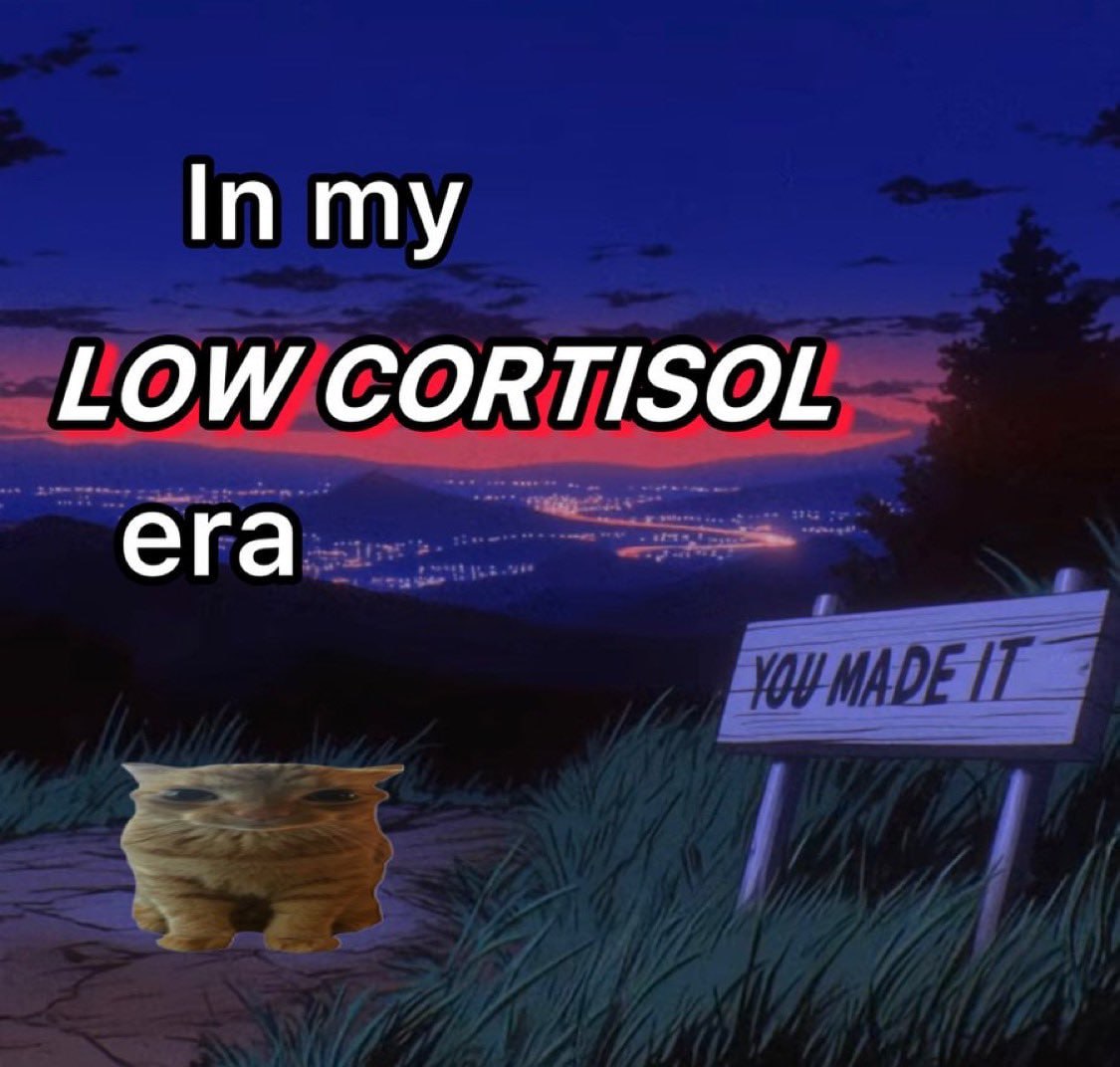 In LOW CORTISOL era