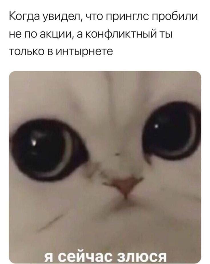 Когда увидел, что принглс пробили не по акции, а конфликтный ты только в интырнете я сейчас злюся