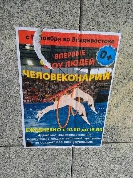 “a "ЧЕЛОВЕК 1A on) 2 10.00 до 19.00 ЕЖЕДНЕВН посруиные люди в засавиой програмс не оставят вас ont.