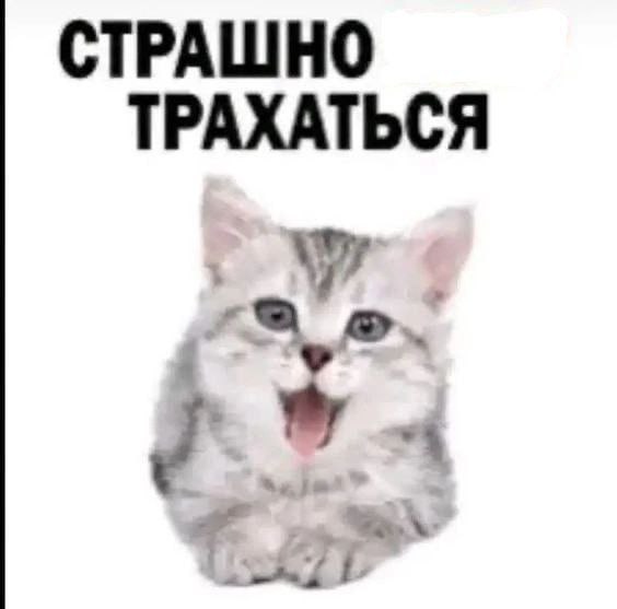 СТРАШНО ТРАХАТЬСЯ