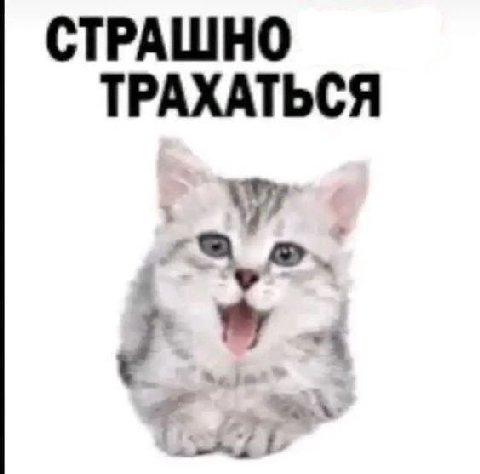 СТРАШНО ТРАХАТЬСЯ