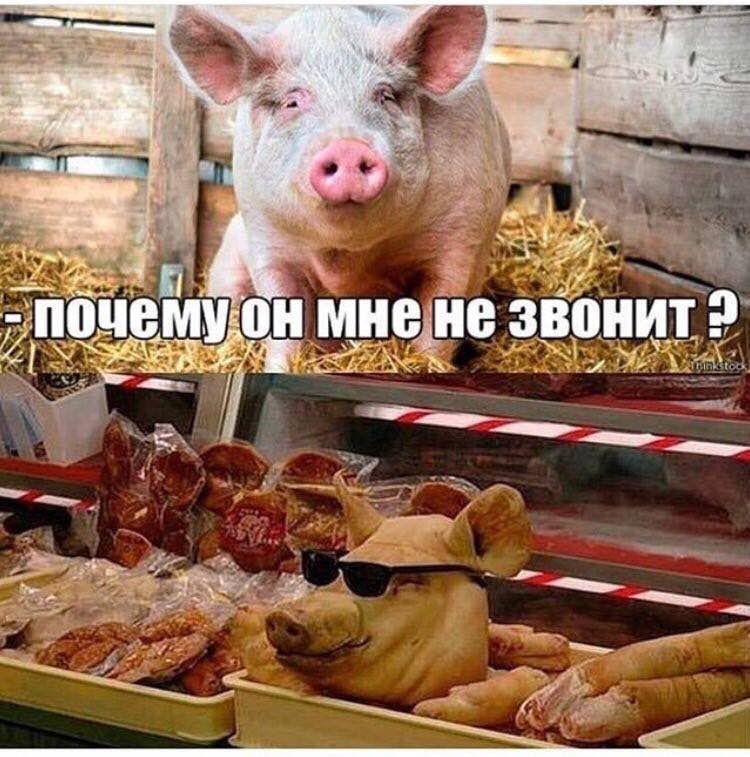 №74 Я a a. “у мне не звонит и