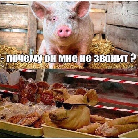 №74 Я a a. “у мне не звонит и