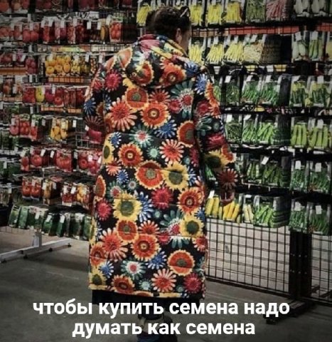 чтобы купить семена надо думать как семена