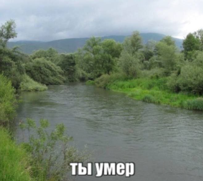 ты умер