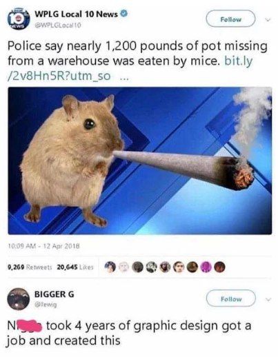 WPLG Local 10 News Police say nearly 1,200 pounds of pot missing from a warehouse was eaten mice. bit.ly 9.269 20,6450. BIGGER took 4 years of graphic design got a job and created this
