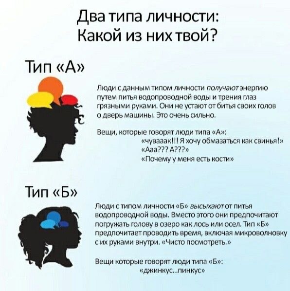 Дватипа личности: Какой из нихтвой? Люди с данным типом личности получаютэнергию путем питья водопроводной воды и трения глаз грязными руками. Они не устают от битья своих голов о дверь машины, Это оч